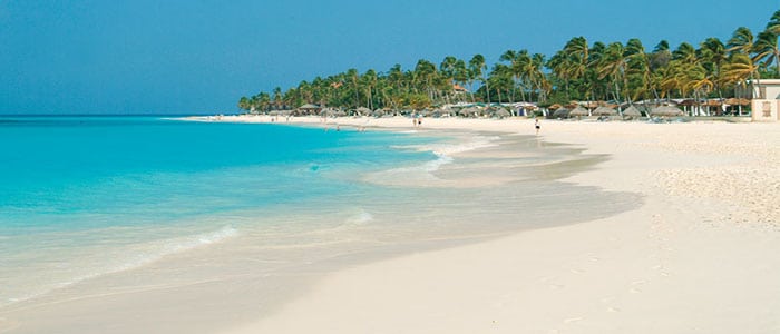 Divi Aruba | All-Inclusive Resort