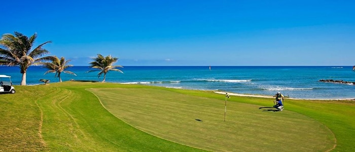 Iberostar Rose Hall Beach Jamaica All Inclusive Honeymoon