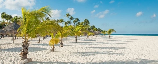 What's Included at Manchebo beach