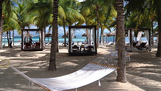 What's Included at Grand Oasis Palm