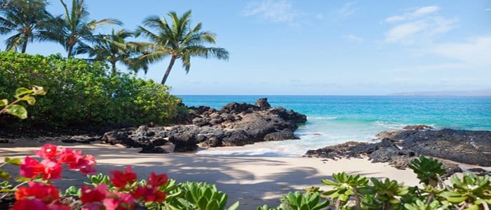 Hawaii honeymoon beach