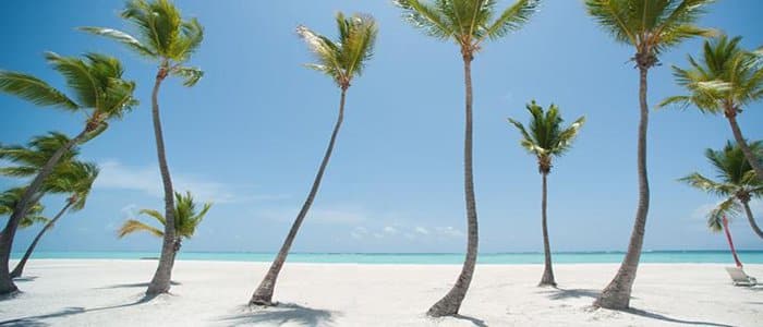 Secrets Cap Cana includes white sandy beaches