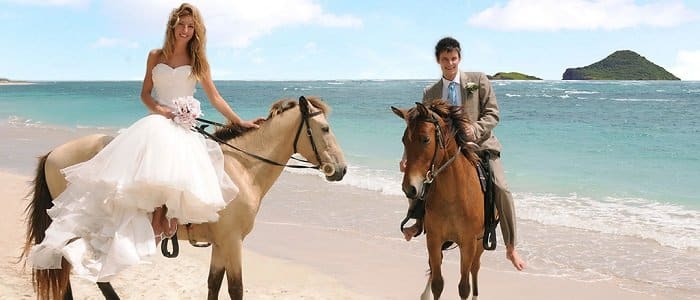 Let us book your destination wedding here Let us book your destination wedding here