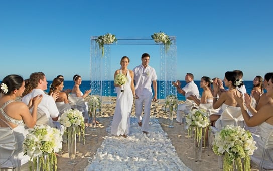 Say I Do in Paradise Say I Do in Paradise