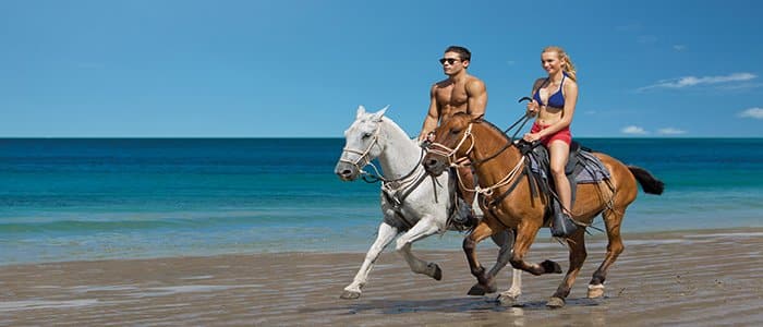 enjoy riding on your honeymoon