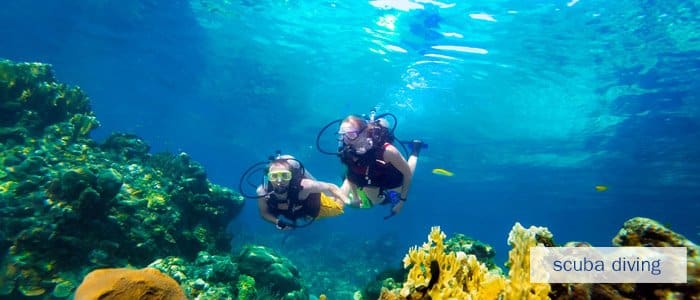 Do you want to go scuba diving?