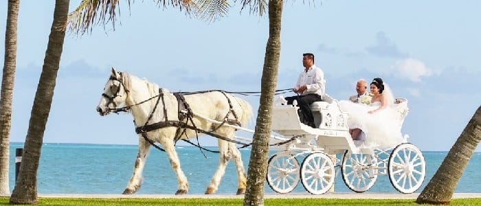 Top All Inclusive Wedding Vacation Packages Best All Inclusive