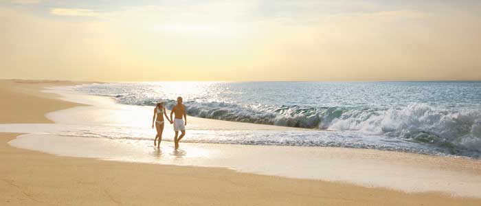 Book your honeymoon at Dreams Los Cabos today!