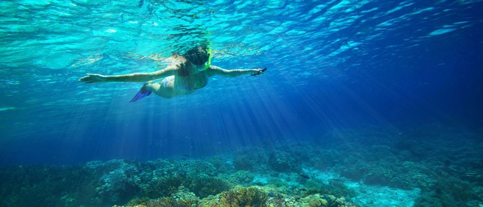 Snorkel in the Caribbean at Secrets St Martin