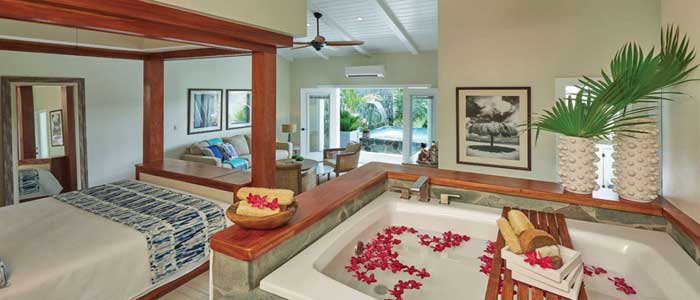 Grande Plunge Pool Suite