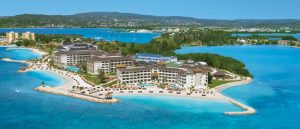 secrets wild orchid