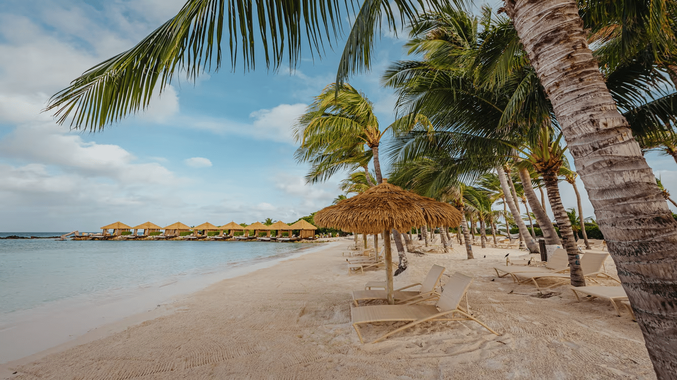 renaissance wind creek aruba island beach