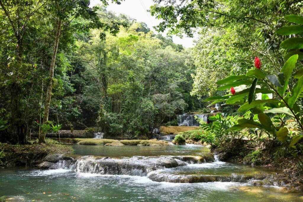 y-s-falls-negril